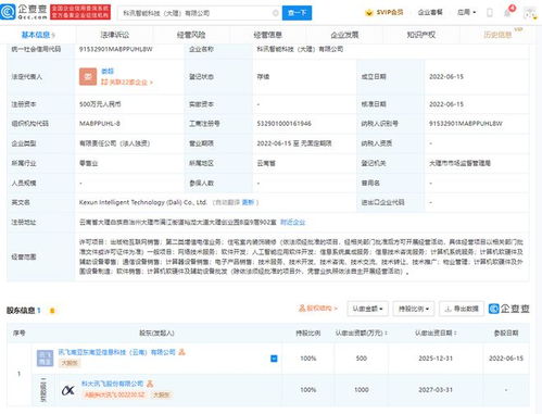 科大訊飛在大理成立智能科技公司，強化信息系統集成服務